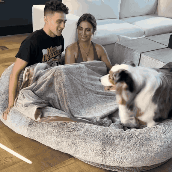Pawfect Nap Bed